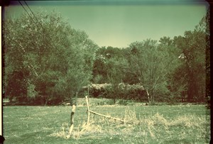 Image description is not available for PHO-4-W689-939